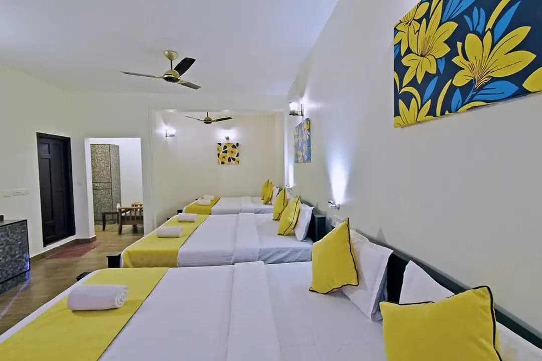 pondicherry gallery 13