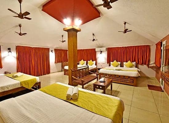 Buddies Dorm